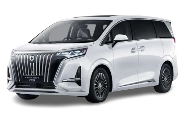 DENZA D9 Arctic White